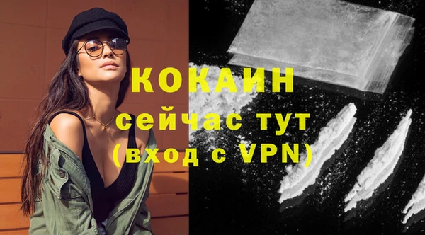 твердый Белоозёрский