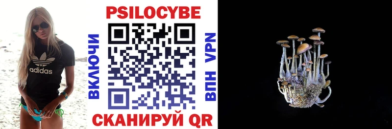 Псилоцибиновые грибы мицелий  Купино 